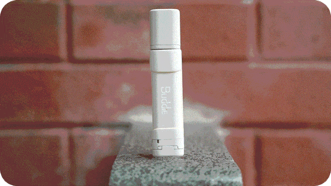 Buddie (3).gif