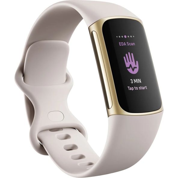 Fitbit 3.jpg