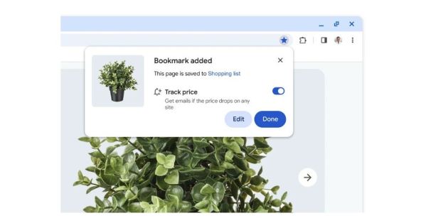 Shopping Google 6.jpg