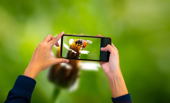 RAZLIKA JE OGROMNA Kupiti originalni ili zamjenski ekran za smartphone?
