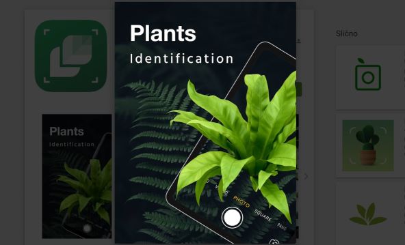 LeafSnap - Plant Identification