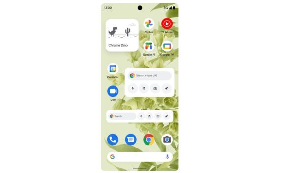 Chrome Android.jpg