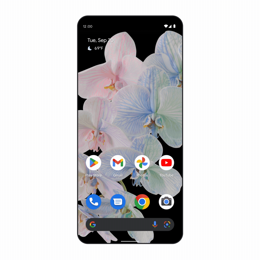 Google Search_AR_Lens_Translate.gif