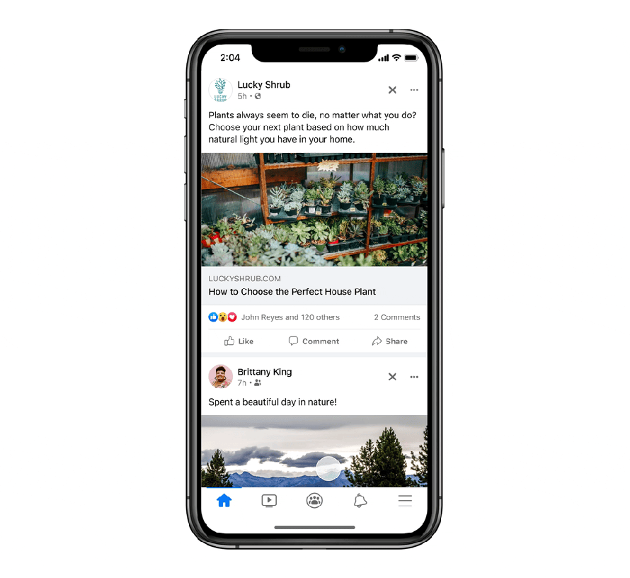 Facebook Show-more-show-less.gif