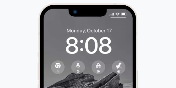 5 Google widget.jpg