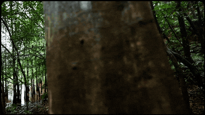 SUPERHEXA Vision (1).gif