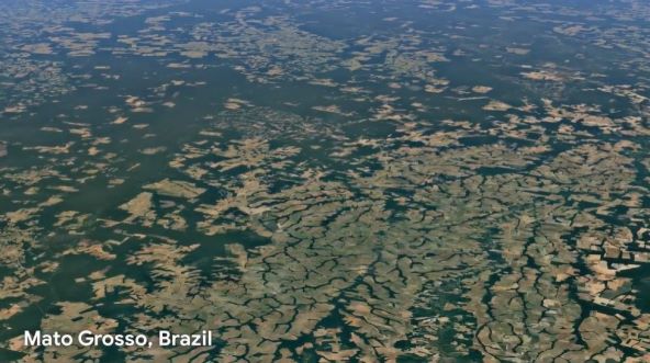 Mato Grosso, Brazil.jpg