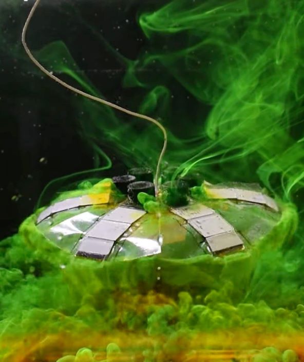 Jellyfish-Bot (3).jpg