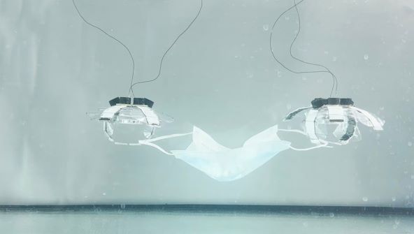 Jellyfish-Bot (1).jpg