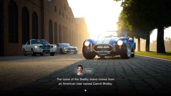 Shelby.jpg