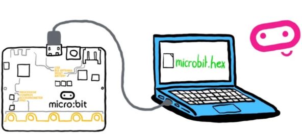 microbit (2).jpg