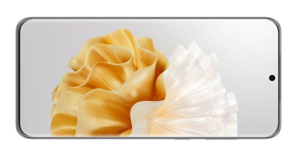 P60 Pro_Wallpaper_Rococo Pearl (3).jpg