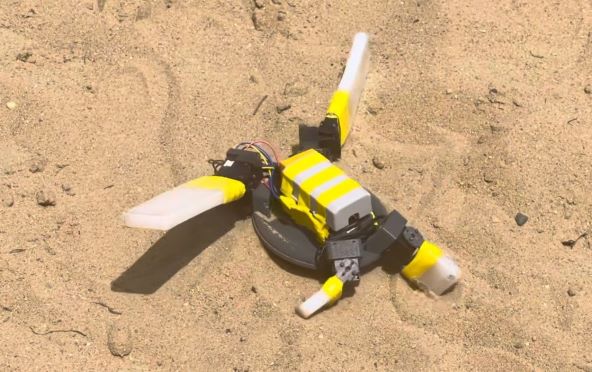 Robot kornjaca (1).jpg