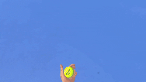 Tennis On-Court (4).gif