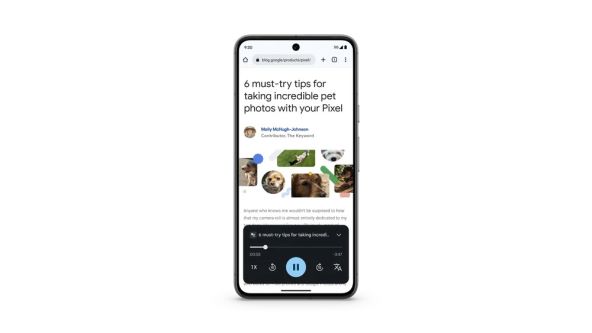 Pixel 8 (4).jpg