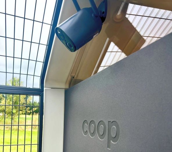 Smart Coop kokosinjac kokosi (6).jpg