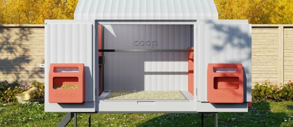 Smart Coop kokosinjac kokosi (3).jpg