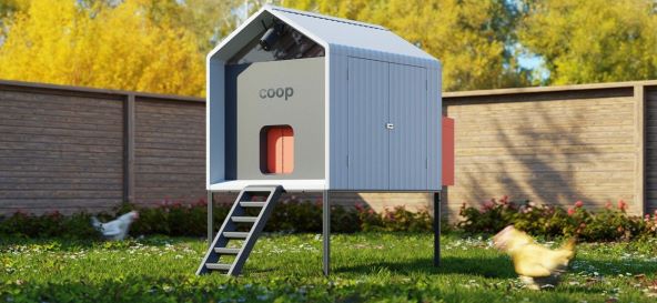 Smart Coop kokosinjac kokosi (5).jpg