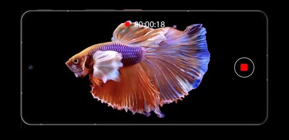 Nubia Z50S Pro (7).jpg