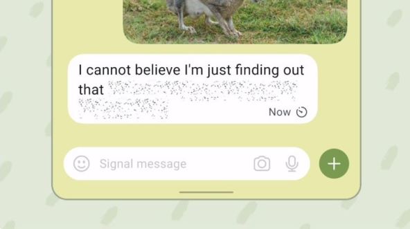 Signal spoilers 1.jpg