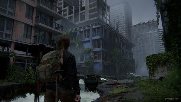 The Last of Us Part II Remastered (4).jpg
