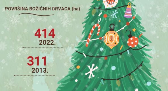 Površina božićnih drvaca u ha, DZS.jpg