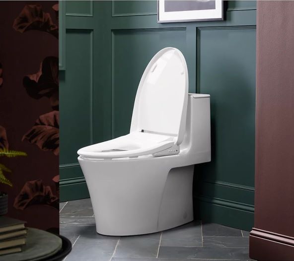 Kohler PureWash E930 (3).jpg