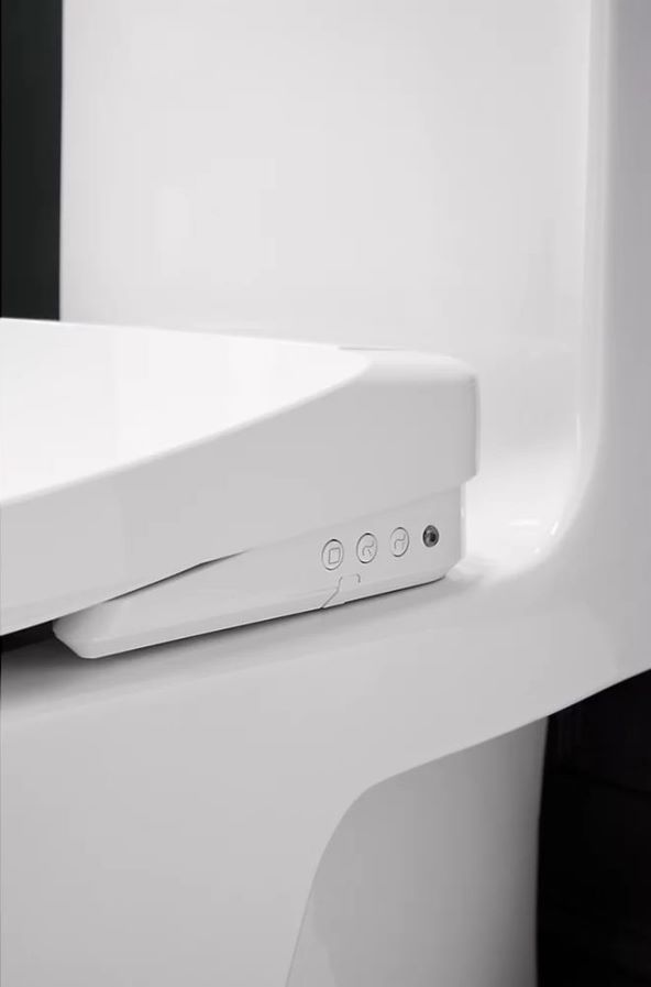 Kohler PureWash E930 (5).jpg