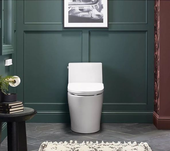 Kohler PureWash E930 (8).jpg