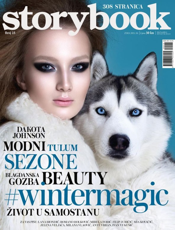 Naslovnice Storybooka u 2015. godini