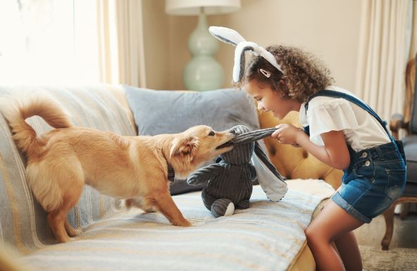 PURINA® PRO PLAN®_1 (1).jpg