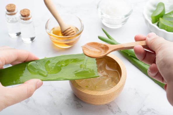 Aloe Vera.jpg