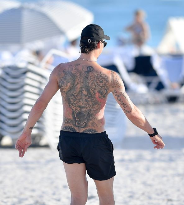 zlatan ibrahimović