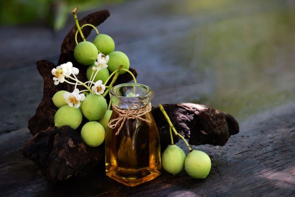 Tamanu