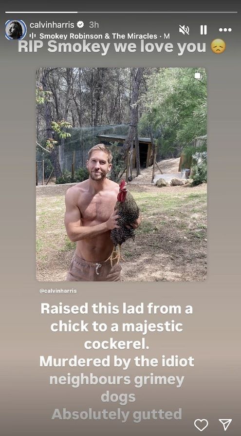 calvin harris