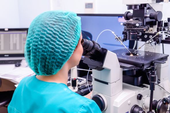 315-fertilizacija-in-vitro-najvaznija-pitanja-i-odgovori
