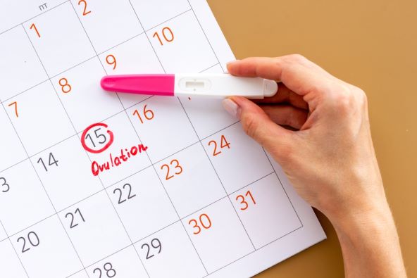mozda-niste-znali-o-trudnoci-i-ovulaciji-mozete-zatrudnjeti-i-tijekom-menstruacije