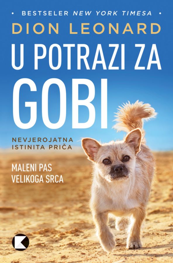 u-potrazi-za-gobi-nadahnjujuca-prica-o-izgubljenom-psu-i-pronadenom-covjeku
