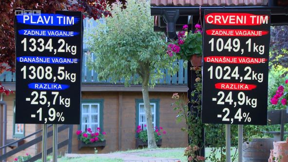 ZNV - ukupni kilogrami timova.jpg