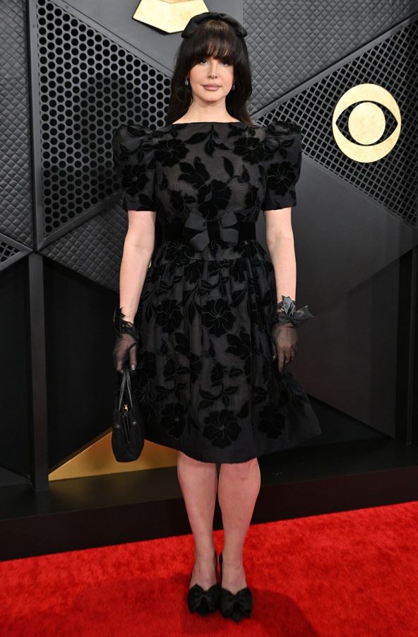 Moda dodjela nagrada Grammy 2024