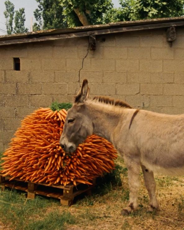 Jacquemus i kampanja posvećena obitelji i odrastanju na selu