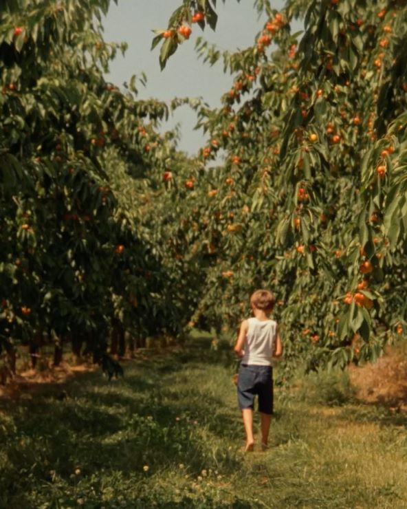 Jacquemus i kampanja posvećena obitelji i odrastanju na selu