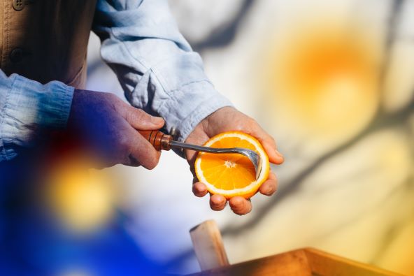 Doživite miris novog limited-edition parfema Acqua di Parma Arancia La Spugnatura