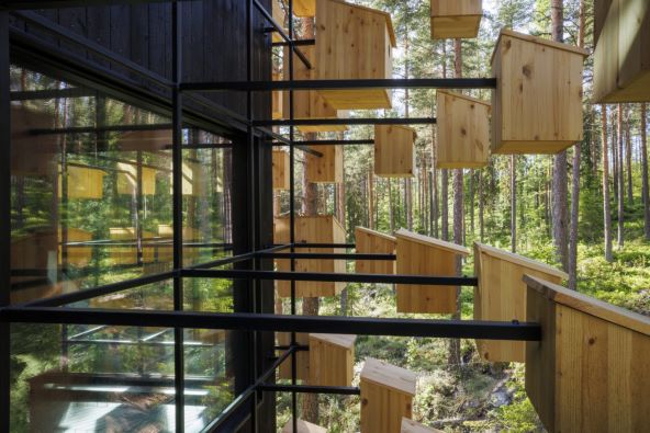 Biosphere Treehotel smješten u krošnjama