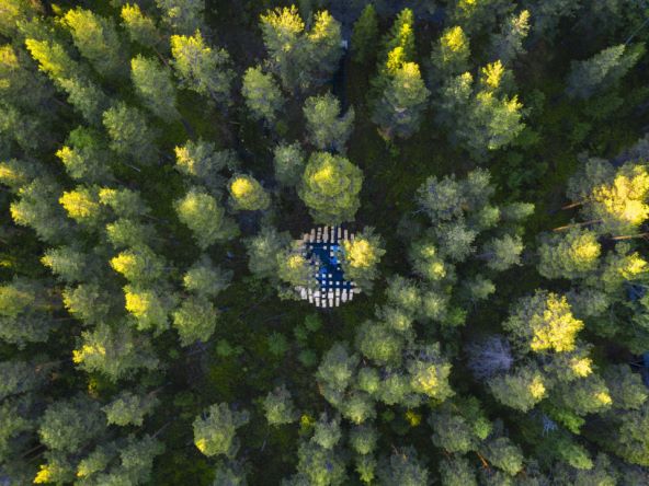 Biosphere Treehotel smješten u krošnjama
