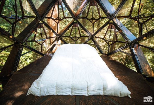 Pinecone Treehouse Airbnb kućica na drvetu