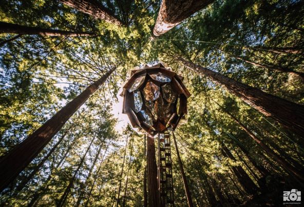 Pinecone Treehouse Airbnb kućica na drvetu