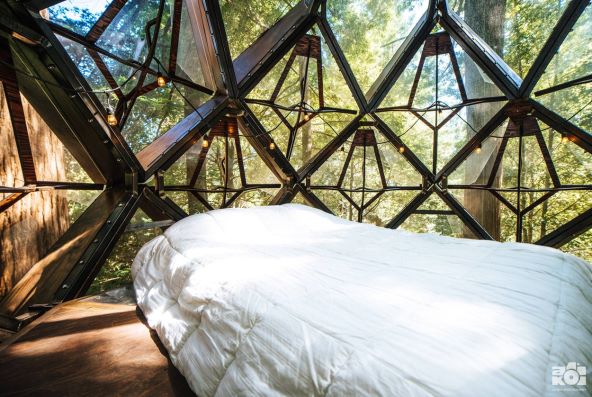 Pinecone Treehouse Airbnb kućica na drvetu