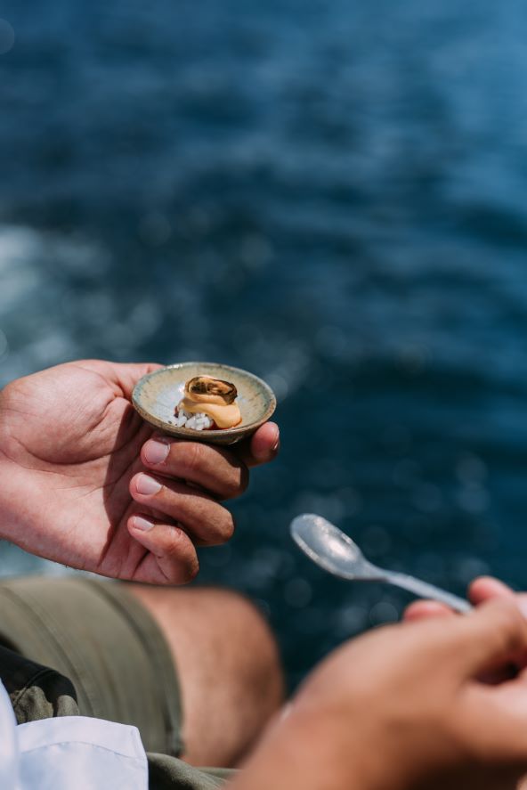 Doživite jedinstveni gourmet doživljaj Pelegrini na moru