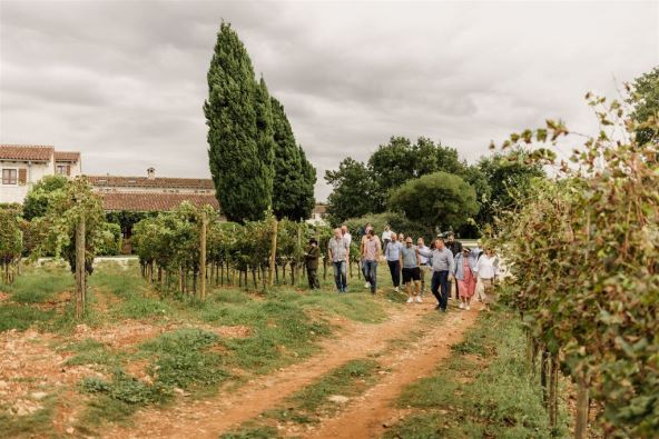 Vinarija Meneghetti savršeno mjesto za luksuzni jesenski izlet